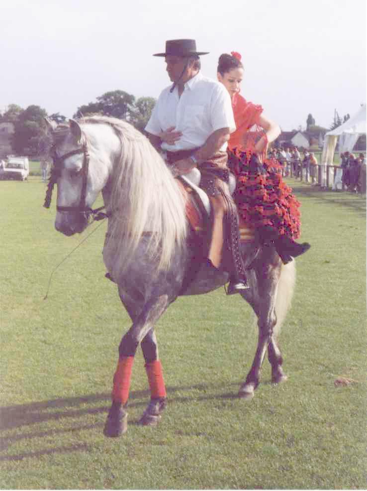 Juilly Equestre - Accueil